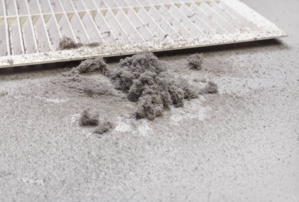 Best Air Duct Cleaning Near Me  in Winchester, NV