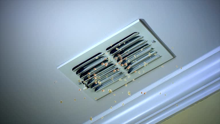 Best Best Air Duct Cleaning Company  in Winchester, NV