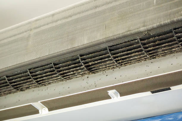 Best HVAC System Cleaning  in Winchester, NV